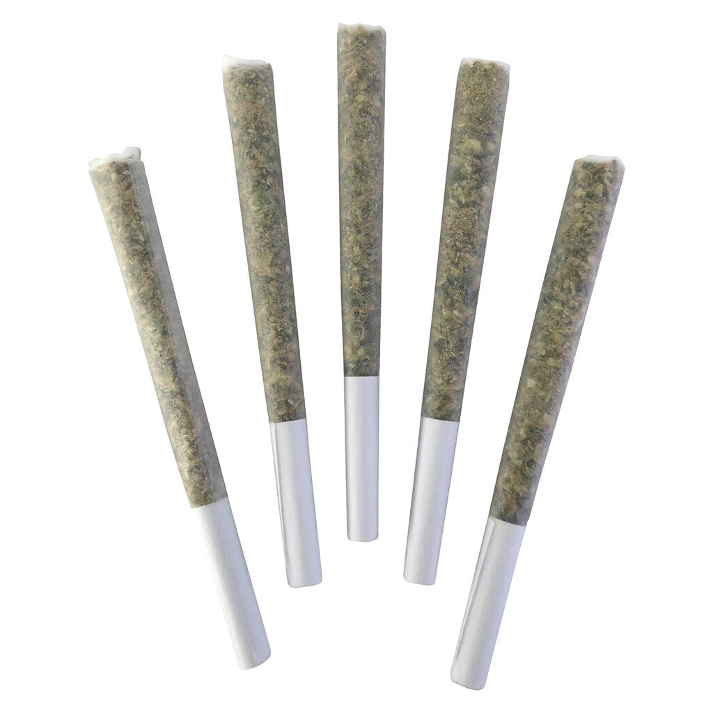Chemical Romance Pre-roll - 