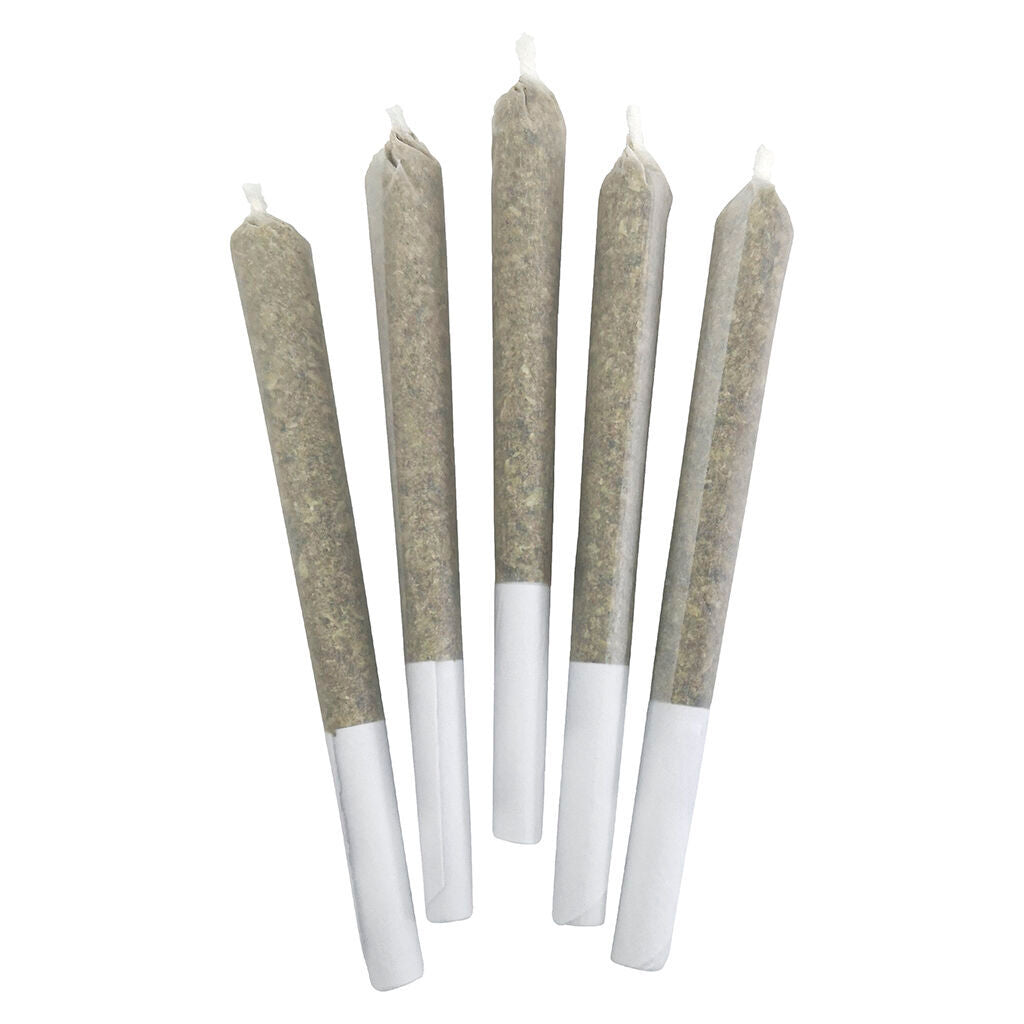 Blueberry Frost Pre-roll - 