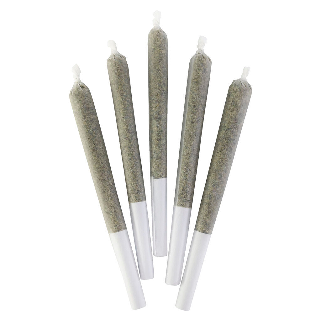 Big Smooth Pre-roll - 