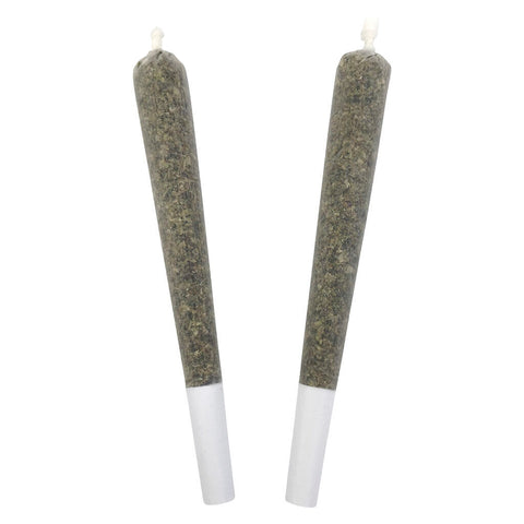 Photo Velvet Haze Pre-roll