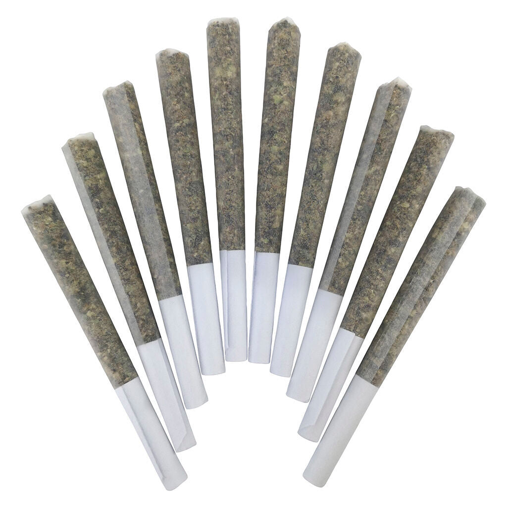 Genghis Chron Pre-Roll - 
