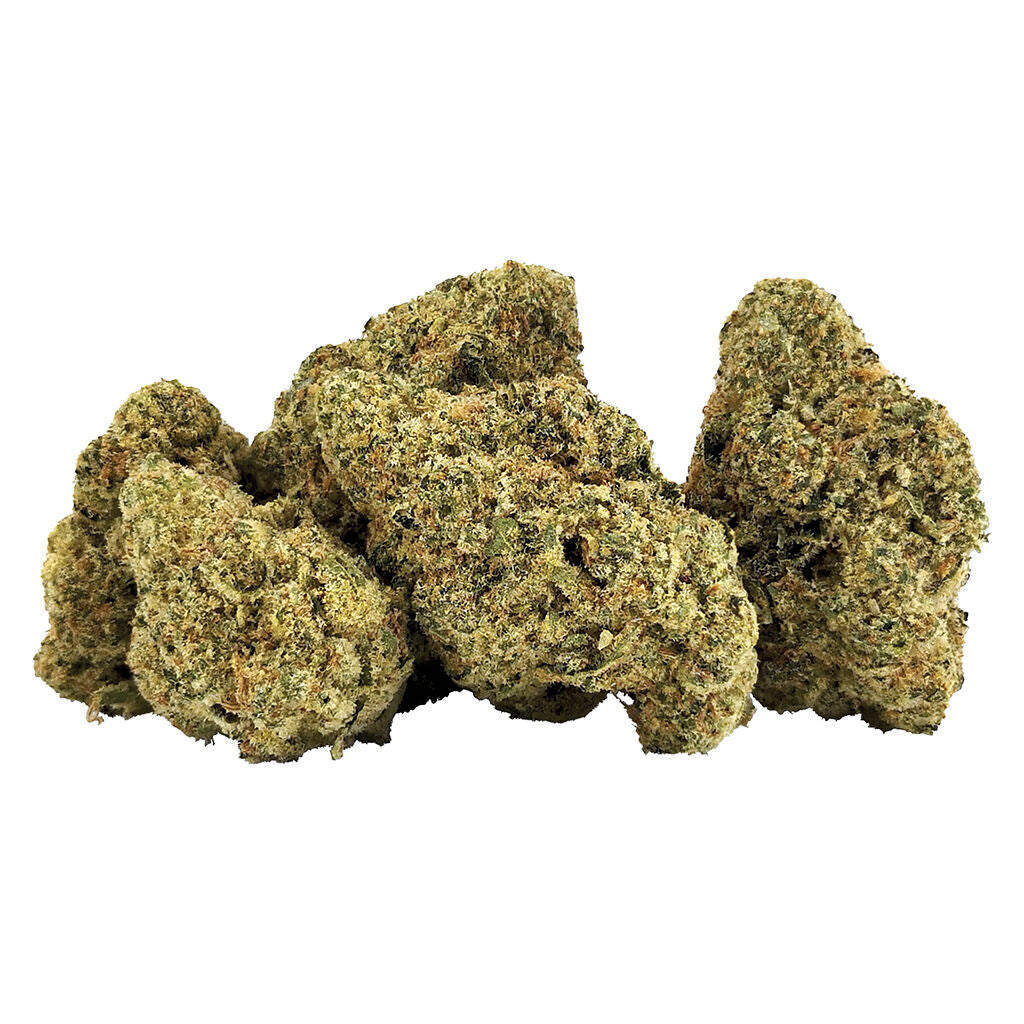 G13 Bx1 - 