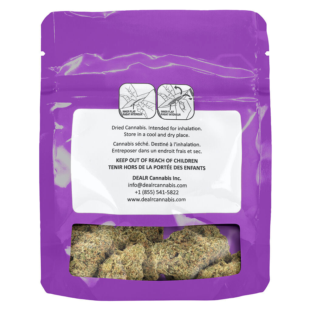 G13 Bx1 - 