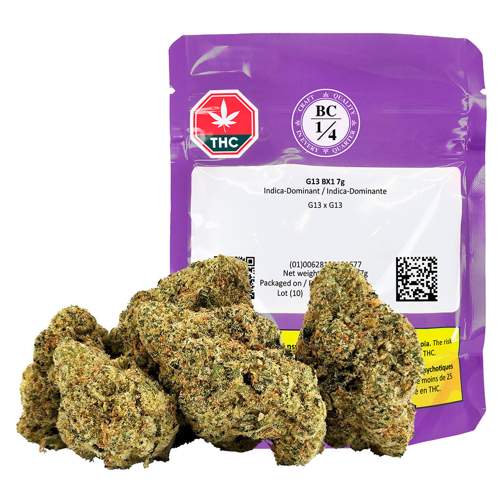 G13 Bx1 - 