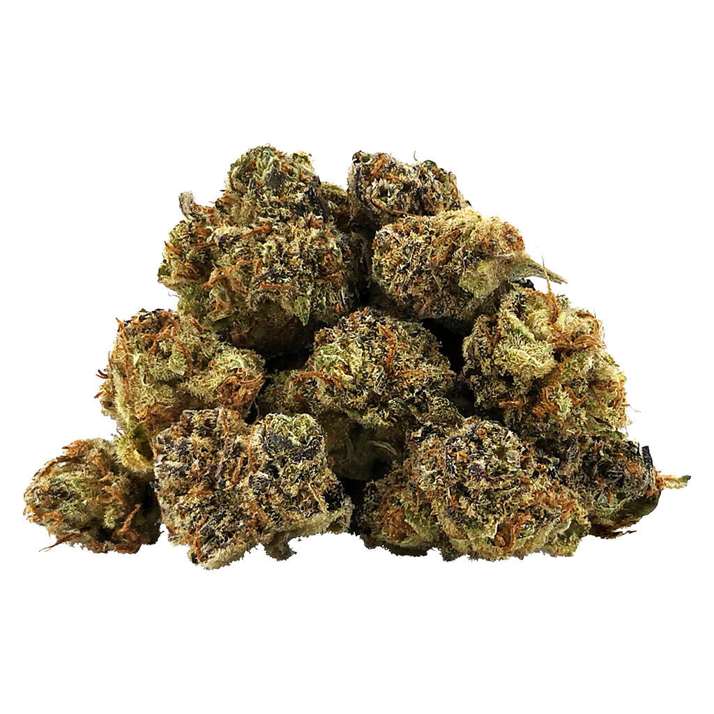 Neon Cowgirl Smalls - 