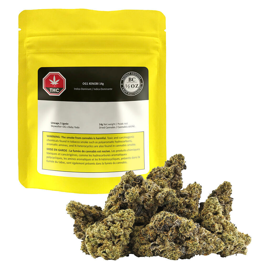 OG1 Kenobi - 