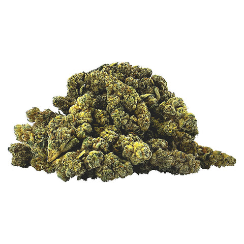 Photo Ghost OG