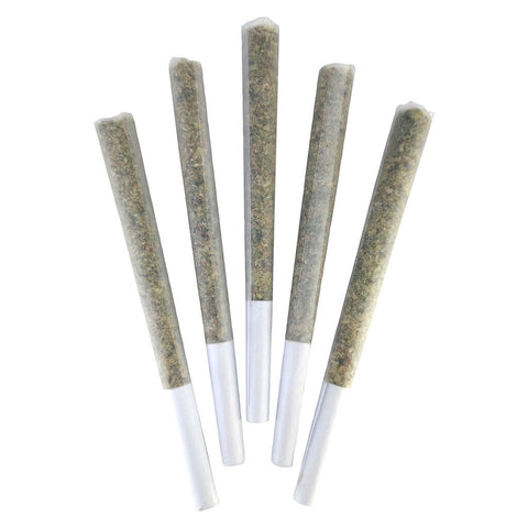Photo Love Potion #9 Pre-Roll