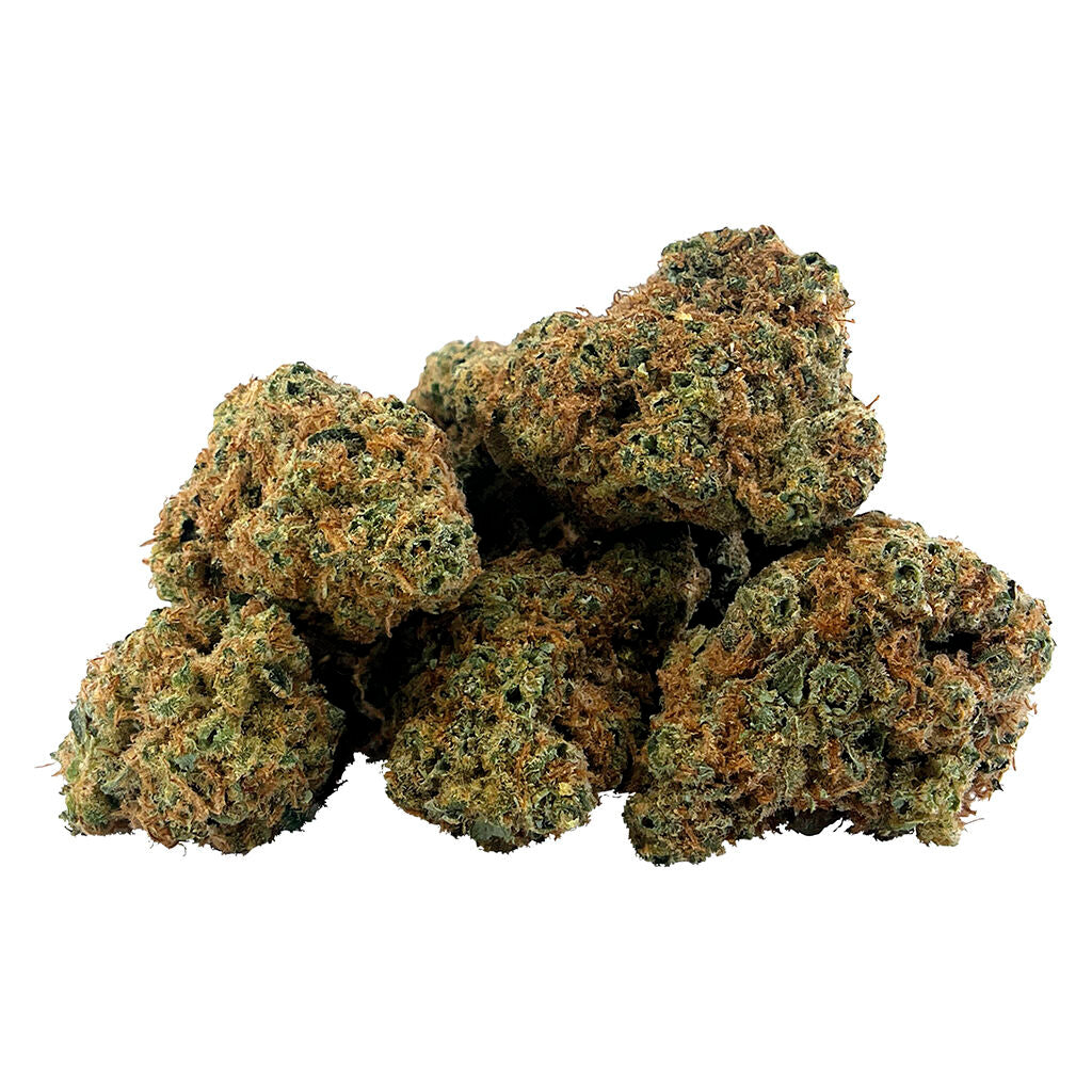 Gasserole - 