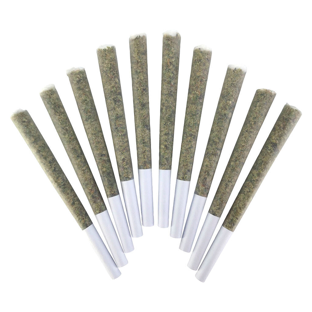 VelcroZ Pre-Roll - 