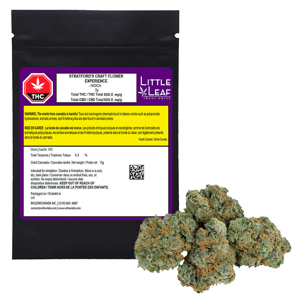 Stratford's Craft Flower Experience - 