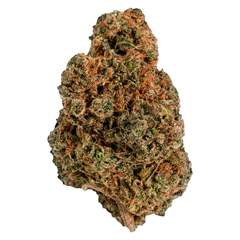 Photo King's Counsel