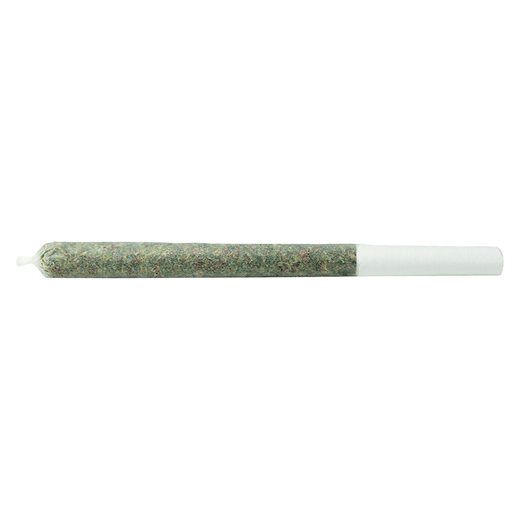 Pink Moon Pre-Roll - 