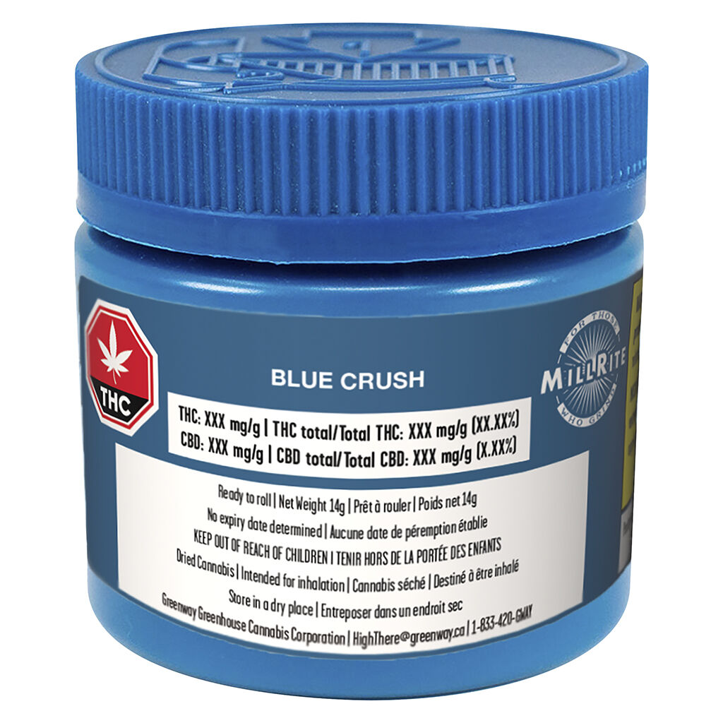 Blue Crush
