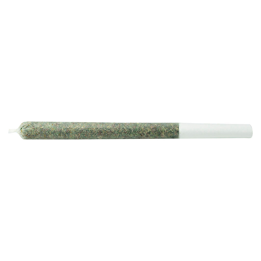 The Jeffrey Pre-Roll - 