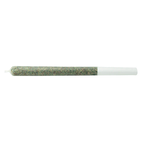 Photo The Jeffrey Pre-Roll