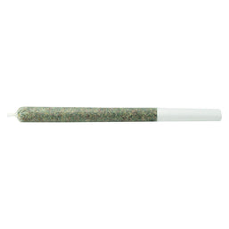 Photo The Jeffrey Pre-Roll