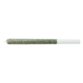 Pink Moon Pre-Roll