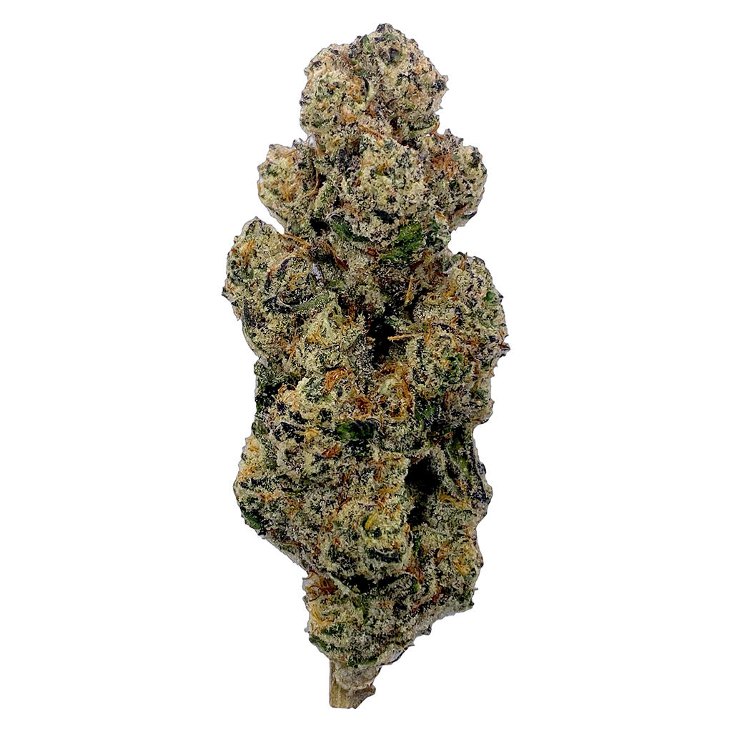 Mendo Revolving Indica - 