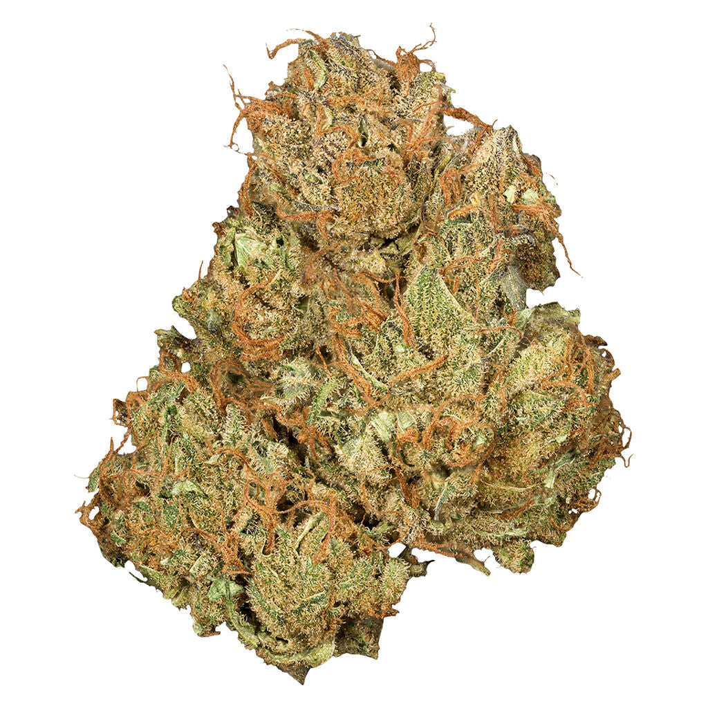Jean Guy CBD - 