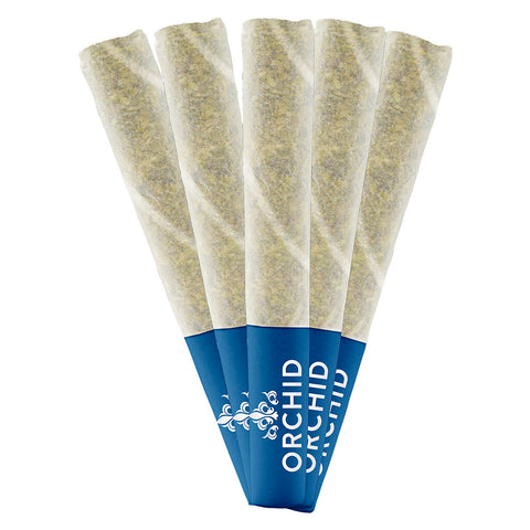 Photo Jean Guy CBD Pre-Roll