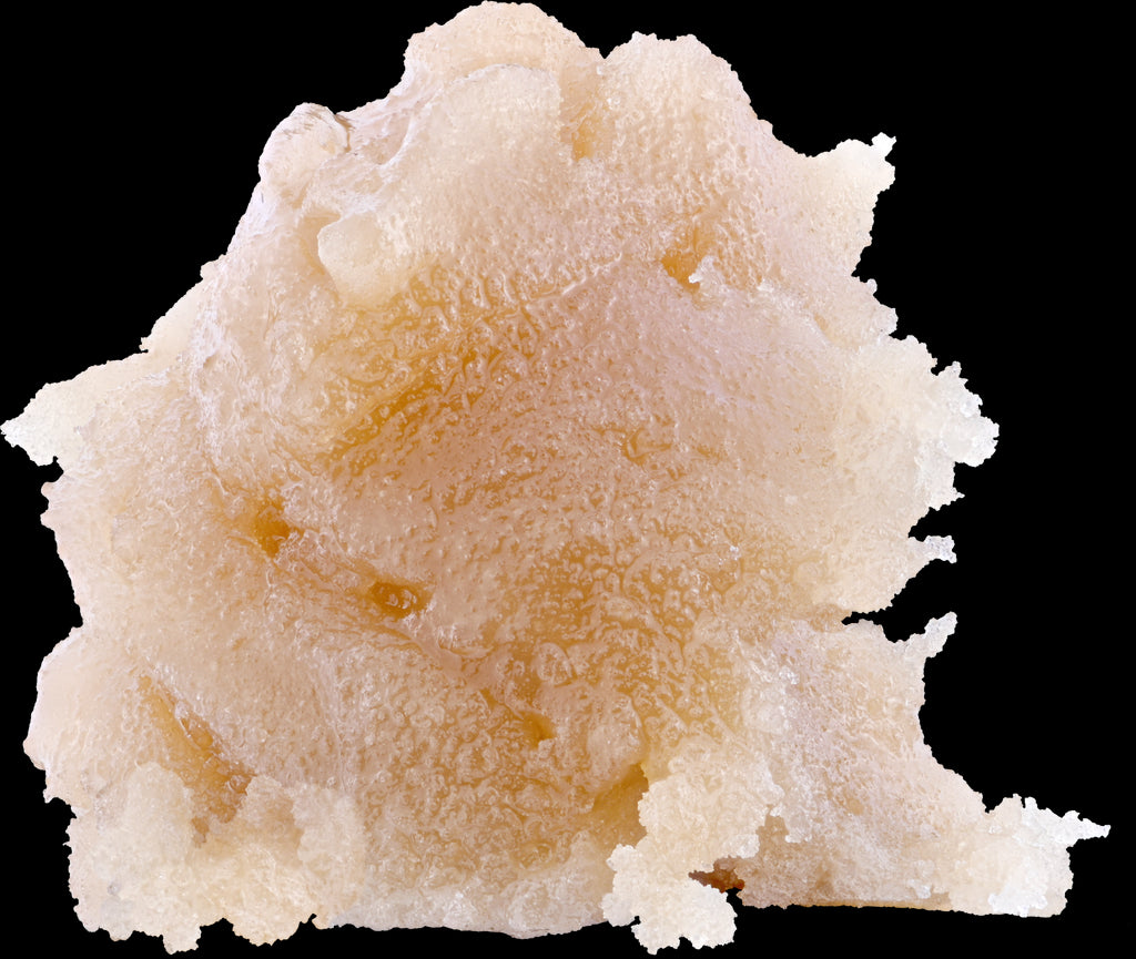 Terple Fresh Frozen Hash Rosin - 