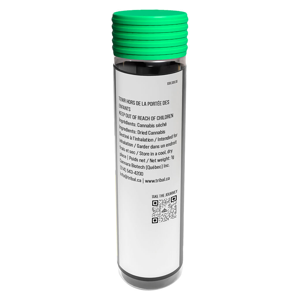 Bubble Up Ceramic Tip Pre-Roll - 