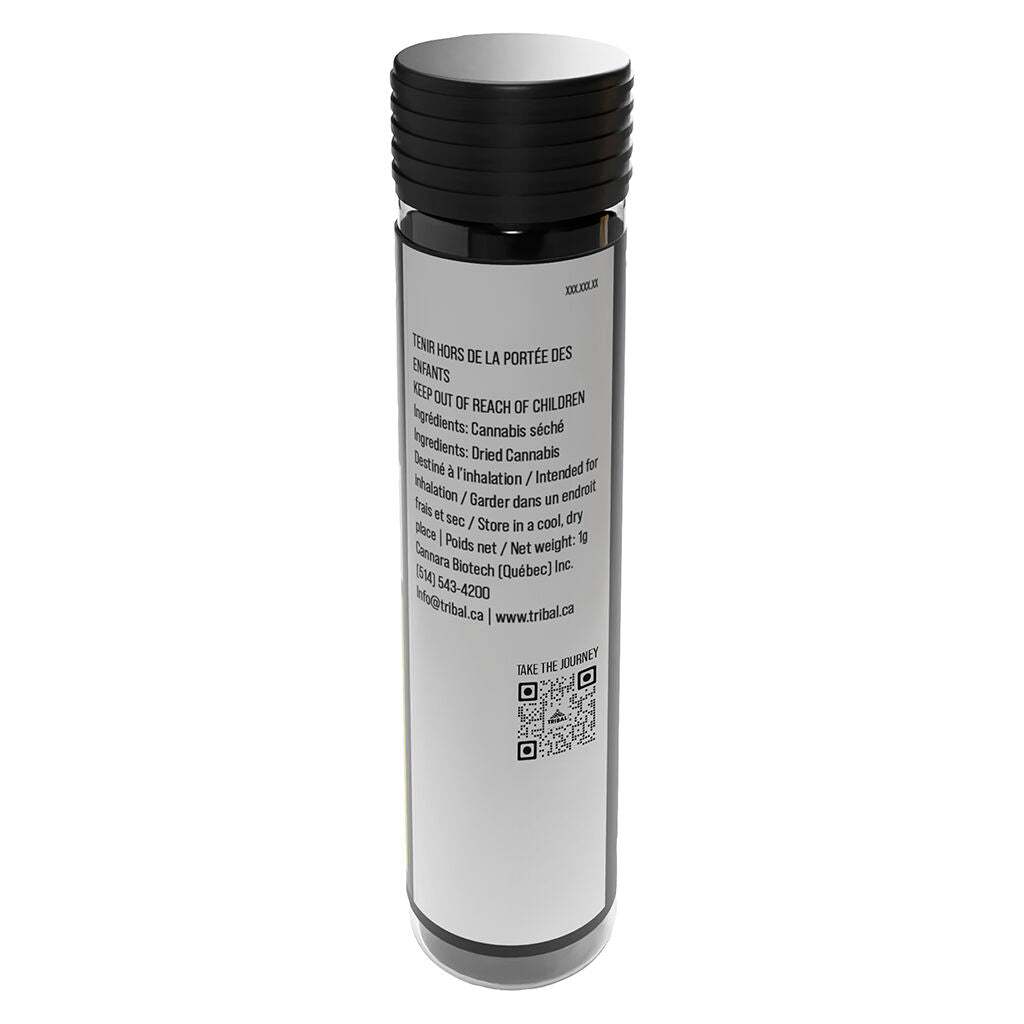 Bubble Up Ceramic Tip Pre-Roll - 