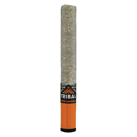 Photo Neon Sunshine Ceramic Tip Pre-Roll