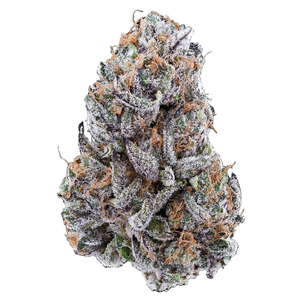 Hybrid - 