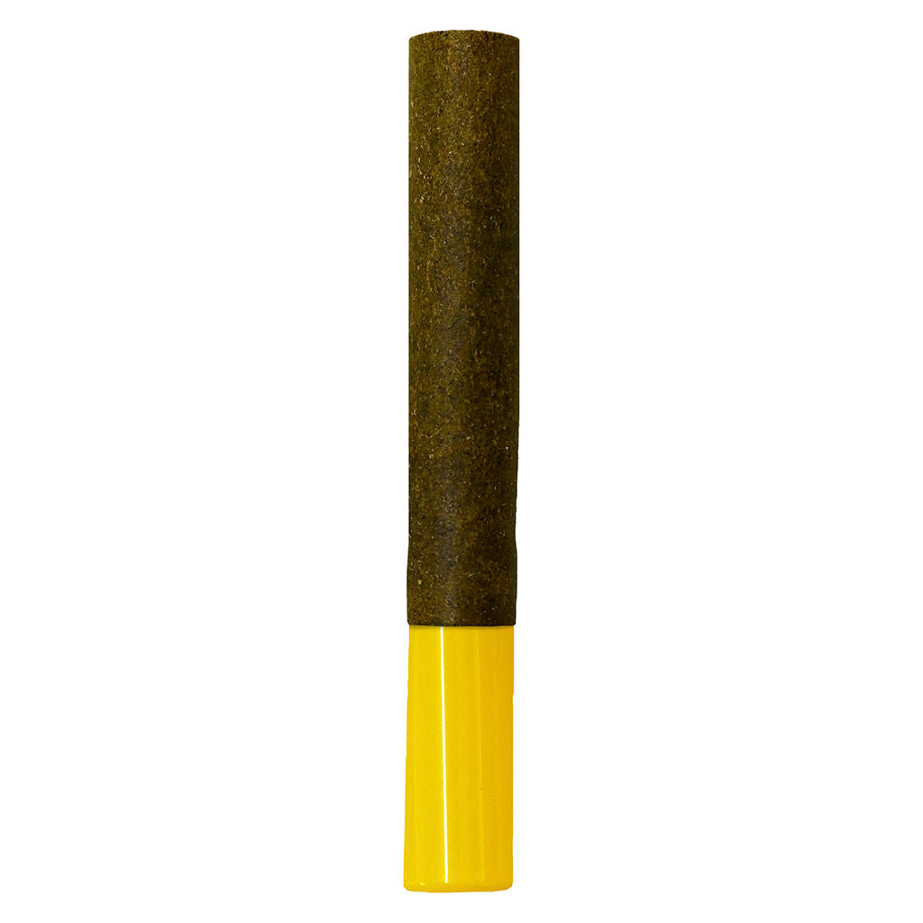 Hash Wrap Indica - 