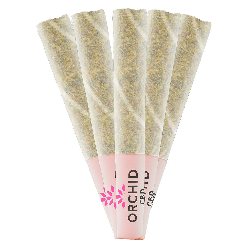 CBD Runtz Pre-Roll - 