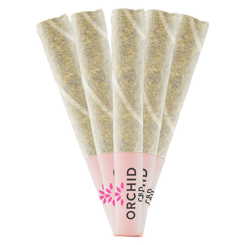 Photo CBD Runtz Pre-Roll