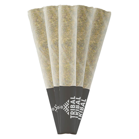 Photo Bubble Up Pre-roll