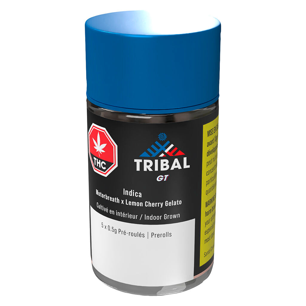 GT Pre-Roll - 
