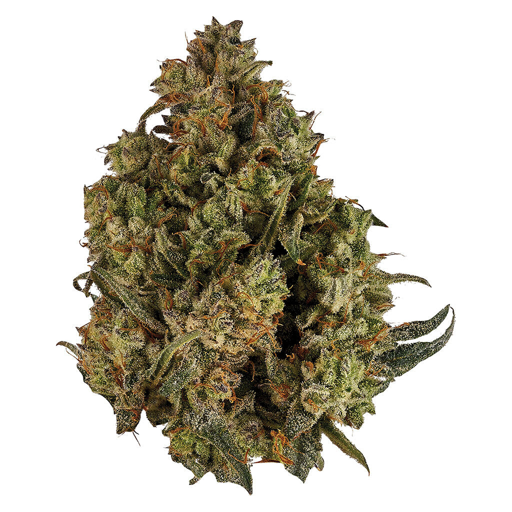 CBD Runtz - 