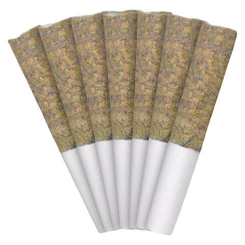 Photo Florida Oranges Pre-Roll