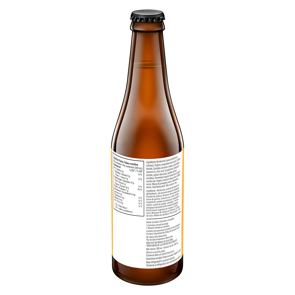 THC Mango Kombucha - 