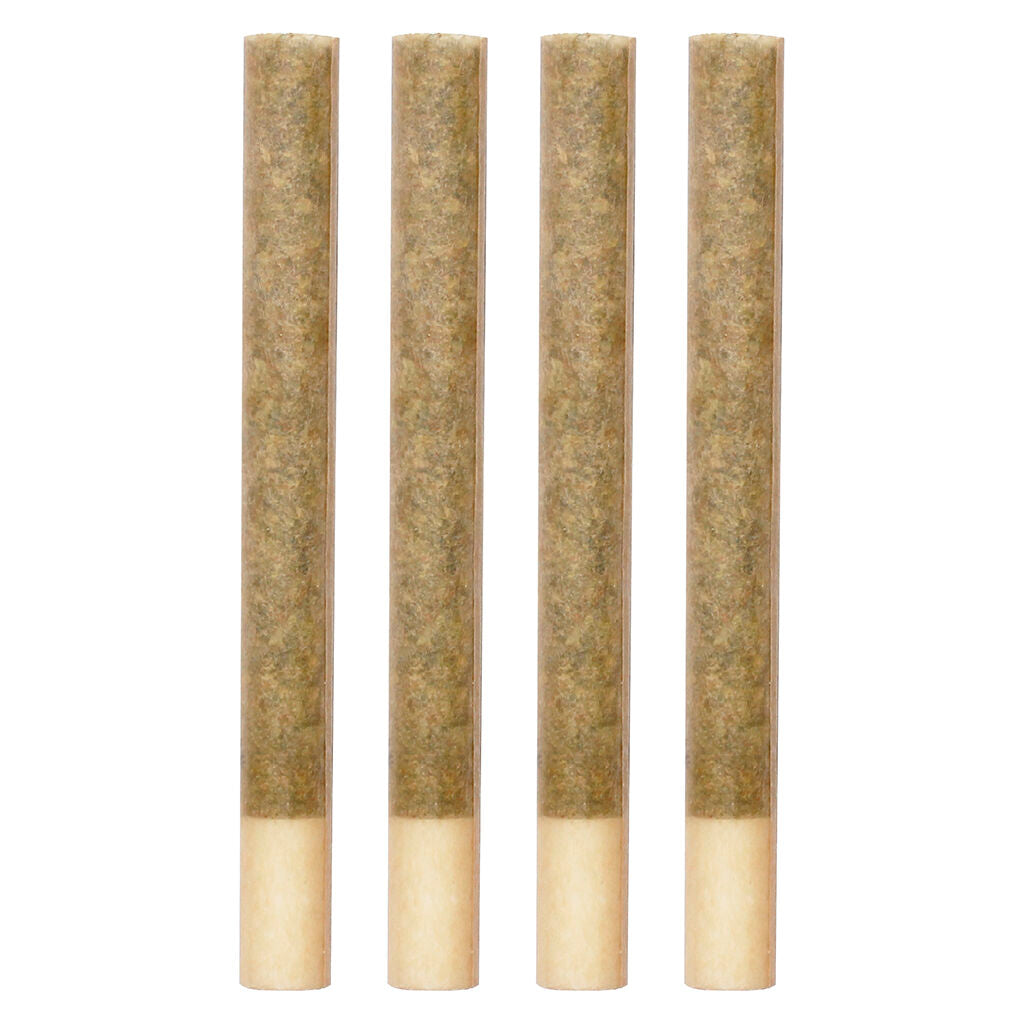 Kings+ Extreme Pre-Roll - 