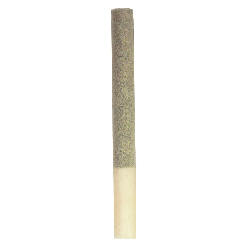 Kings+ Extreme Single Pre-Roll - 