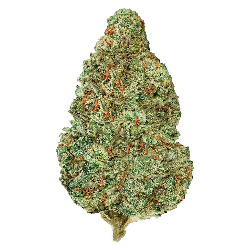 Chemzilla - 