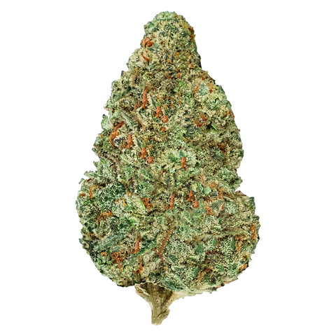 Photo Chemzilla