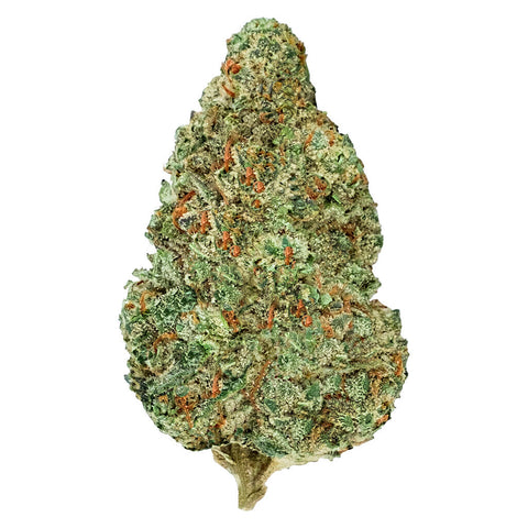 Photo Chemzilla