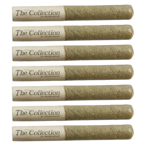 Photo Petroleum Pre-Roll