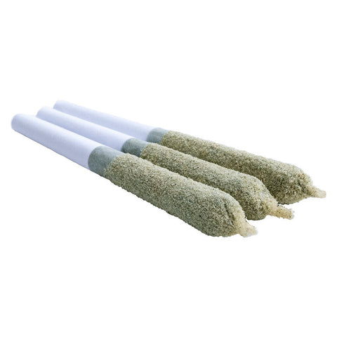 Photo Shark Bite Toasters Infused Pre-roll