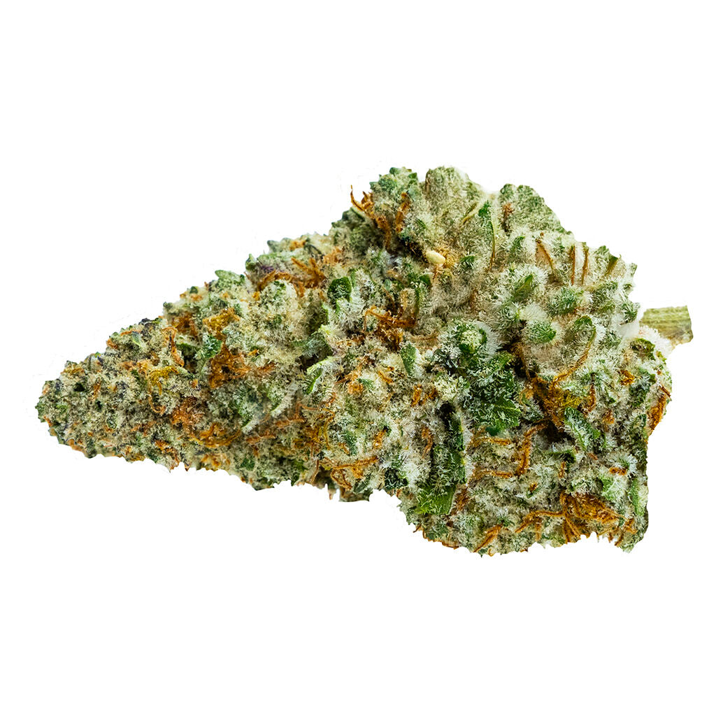 Queen Green - 