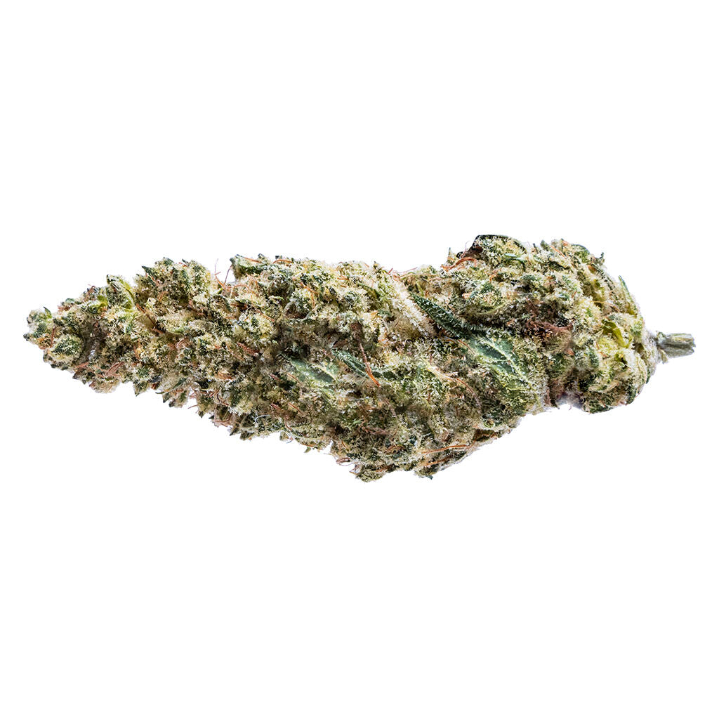 Blue Dream #16 - 