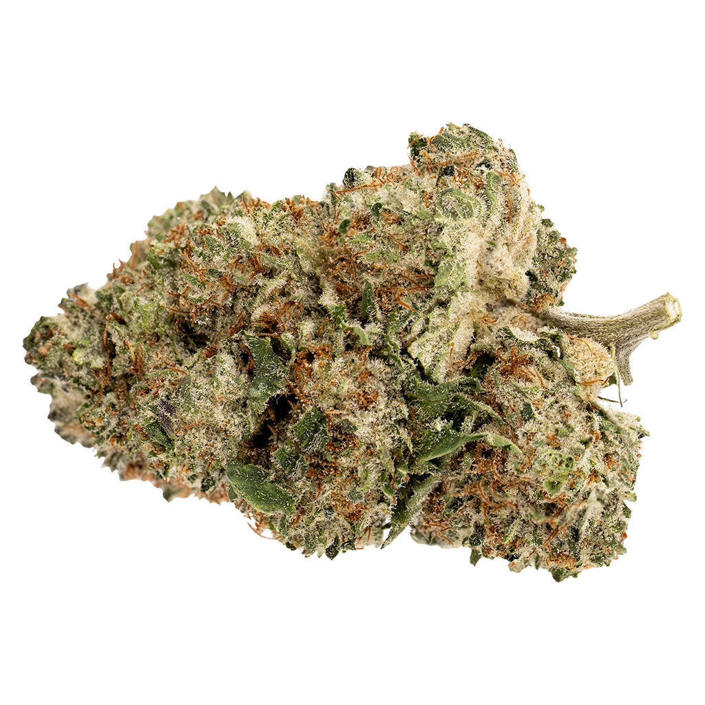 Pink Rhino - 