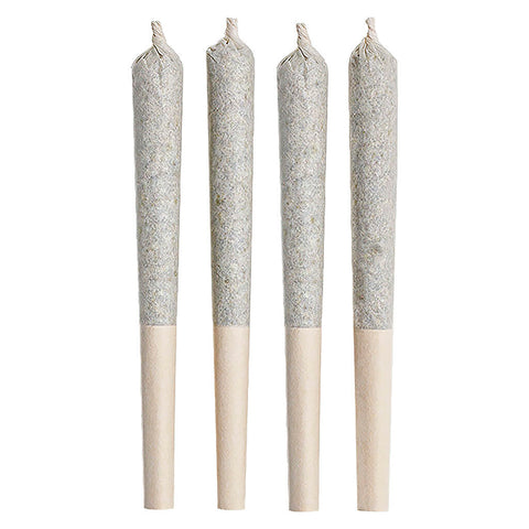 Photo Little Red Pre-Roll