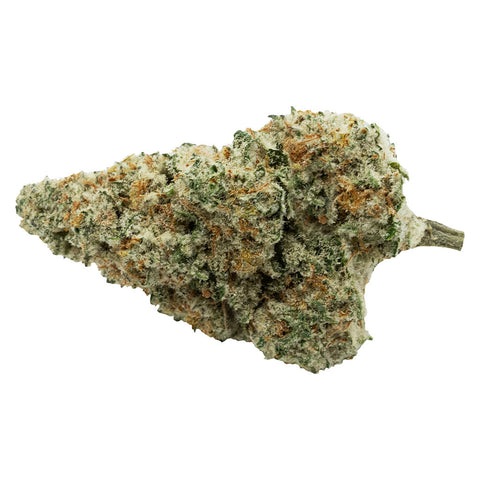 Photo Back Stage Pass Indica